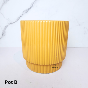 The Leaferie Sonnet plant pots (3 Colours) Ceramic flowerpot flowerpots flower pot planter planters