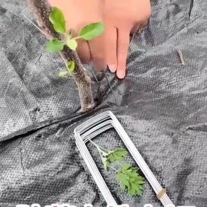 300Pcs Metal U Pins Artificial Galvanised Grass Turf Pegs Staples Weedmat Lawn Mesh Pad U Nails U型地钉