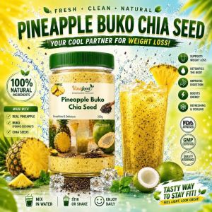 Pineapple Buko Chia Seed Powder Instant Drink Mix | Pineapple Coconut Chia Powder 500g