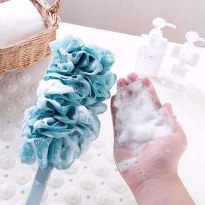 CÂY CHÀ LƯNG HÀN QUỐC