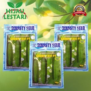 GREEN TAVI F1 20gr - Benih Timun Hijau Tahan Virus