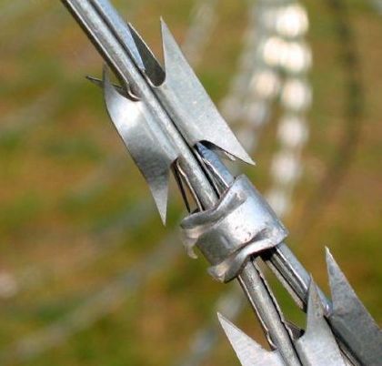 Combat%20Wire%20%E2%96%AA%EF%B8%8F%20Military%20Barbed%20Wire%20%E2%96%AA%EF%B8%8F%20Razor%20Wire%20%E2%96%AA%EF%B8%8F%20Blade%20Wire%E2%96%AA%EF%B8%8F%20Security%20Wire%20for%20Farm%20House%20Fence%20-%20Image%209