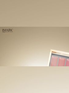 2025IMAGIC Matte Lipstick Mousse Waterproof Long Lasting Liptint Palette 8 Colorsgood quality