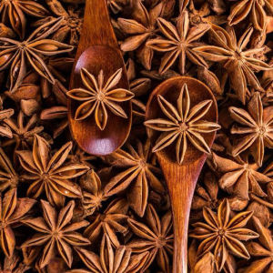 premium herbs and spices star anise whole 100g - Star Anise Whole Buo Lahat 100Grams Star Anise Whole