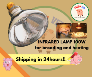 100w Infrared Lamp Bulb for Livestock Piglet Poultry goat Dog Bulb 100watts Heat Emitter for Animals