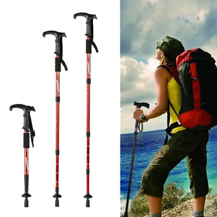 Telescopic best sale hiking pole