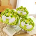 SUPER CUTE ตุ๊กตา นิ่มมากๆ Japan INS New style Cabbage shiba Dog Plush toys กะหล่ำปลีชิบะอินุ รุ่นใหม่ น่ารักมาก 30cm. 