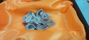 (50 กร้ม) เขากวาง เขากวางหั่นบาง เขากวางอ่อน เขากวางแท้ สำหรับต้ม ตุ่น ทำซุป ให้ญาติผู้ใหญ่ (สินค้าอยู่ในไทย ส่งไว ม่ายต้องรอนาน)