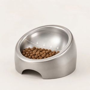 R1A9M 304 Stainless Steel Elevated Cat Bowl Easy to Clean Non-Slip Pet Feeding Dish Thicken Rustproof Tilted Pet Feeder For Cats
