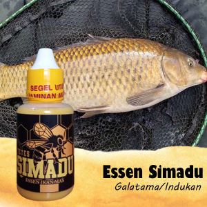 Essen Simadu Ikan Mas Galatama Indukan Paling Jitu Essen Babon Ikan Mas Cocok Disegala Umpan