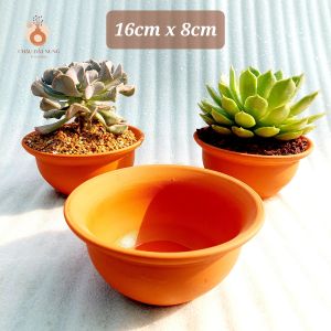 Chậu đất nung - Miệng bèo 168 miệng chậu 16cm chiều cao 8cm