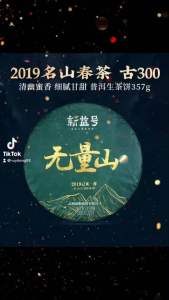 XINYIHAO YUNNAN PUER CHINA TEA WU LING SHAN 2019 YEAR PU ERH TEA RAW TEA CAKE 357G 新益号云南普洱生茶2019年无量山古300春茶 普洱生茶357克/茶饼