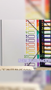 Elasticated Multi Section A4 File Organiser 12 Color Coded Compartment Waterproof Expandable Folder Office Accessory