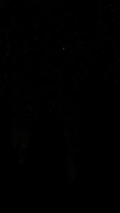 HARGA BORONG Guppy Rojak murah guppy fish ikan hidup