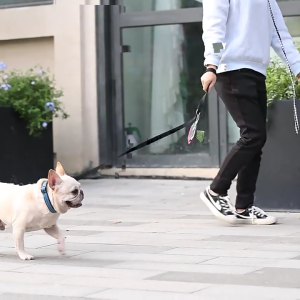 Dog Poop Bag Dispenser Dog Poop Bag Holder with Carabiner Hands-free Clip Dog Cleaning Supplies Easy Use