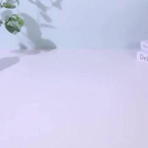 Premium Food & Water Bowl Feeder All in 1 Cat Mangkuk Kucing Makanan Minuman Dog 猫碗 宠物碗 狗碗