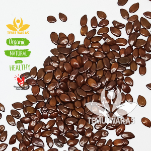 Lamtoro 1kg / Petai Cina / Kemlandingan / Petai Selong Organik