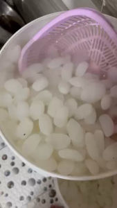 1KG HẠT ĐÁC  TƯƠI KHÁNH HOÀ  Hạt đác tươi loại 1 dùng nấu chè rim trái cây hút chân không