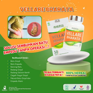 Obat Batu Empedu Tanpa Operasi Penghancur Batu Ginjal Obat Kencing Batu Paling Ampuh Vellare Bharata