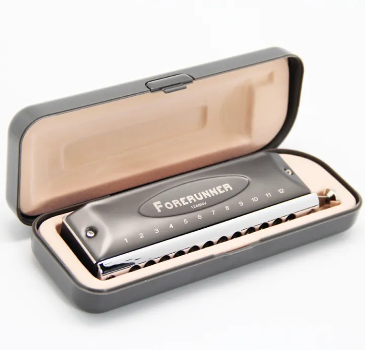 Easttop chromatic harmonica deals 1248