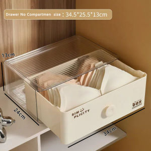 Dustproof Underwear Storage Drawer Transparent Storage Box with Lid Closet Organizer for Personal Lingerie Stackable