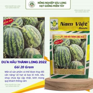 Hạt Giống Dưa Hấu F1 Thành Long 2022 Siêu Ngọt – 20g – Nam Việt Seeds