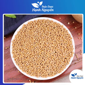 Bạch giới tử 1kg (Hạt cải khô long đờm bổ phế) - Thảo Dược Hạnh Nguyên