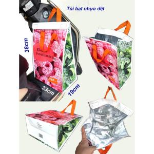Túi giữ nhiệt bằng bạt nhựa dệt bên trong tráng bạc giữ nhiệt chống thấm xếp gọn hàng xk. tx141