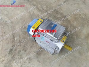 Động cơ điện toàn phát tua chậm  motor điện 15kw