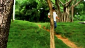 Giày đi bộ ngoài trời năm ngón mới cho nam giày leo núi dày giày trekking thoáng khí giày chống nước