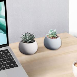 Chậu hoa sen đá thực tế mạnh mẽ Khuôn Silicon thạch cao đồ dùng thủ công cho vườn và trang trí trong nhà