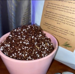 Seeds Germination/Propagation Tray Seedling Tray for Germination of Microgreens  Vegetable/Herbs & Fruits Siip from Sg