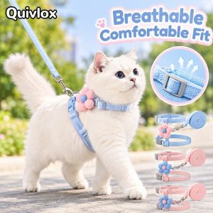 Adjustable Breathable Pet Harness Leash Cute Flower Reflective Dog Cat Walking Soft Cloth Blue Pink For Small Pets