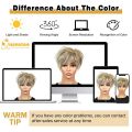 QUEENTAS Short Hair Topper for Women with Thinning Hair Daily Wear 360 ° 3D Cover Up 6.5"*6" Fluffy Hair Pieces with Bangs(Grey to Silver). 