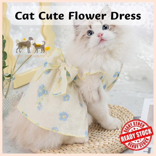 Diy cat outlet dress