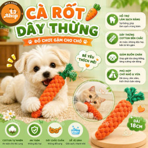 đồ chơi chó mèo - cà rốt thừng cho chó mèo - T3 PETS SHOP
