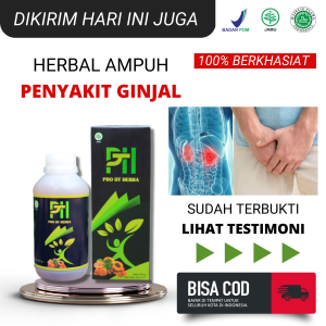PDT Ginjal  Spesialis Obat Ginjal Ampuh Penghancur Batu Ginjal Ginjal Bengkak Obat Sakit Pinggang Syaraf kejepit Nyeri Pinggang Pinggang Terasa Panas Pelancar Peredaran Darah Obat Kencing Batu Infeksi Saluran kencing PRO DT Herba 300 Gram