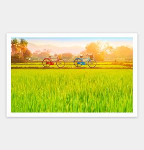 Pintoo Jigsaw Puzzle 1000 pcs H2648: Bicycle Trip Collection - Sun-kissed Green Fields (1000pcs)