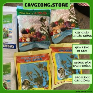 Phân bón lá hỗn hợp Tạo Bông A.B.O chuyên dùng cho Cây Nho