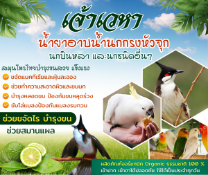 เจ้าเวหา อาบน้ำนก  ดับกลิ่นตัว ลดอาการคัน ขนร่วง เพิ่มความสดชื่น ป้องกันไรนก อ่อนโยน  แถมฟรีถ้วยให้น้ำ 1 ชิ้น อาบน้ำไก่ อาบน้ำสัตว์ แชมพูนก