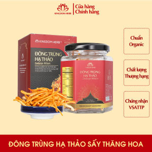 Nấm đông trùng hạ thảo Kingdom Herb chính hãng hữu cơ hộp 10g đông trùng hạ thảo sấy thăng hoa thượng hạng