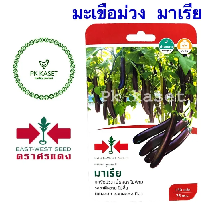 เมล็ดมะเขือม่วง มาเรีย ตราศรแดง สำหรับปลูกผักสวนครัว