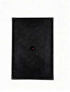 WSK F15-2way professional passive speaker is suitable for home singing birthday parties（1PCS）