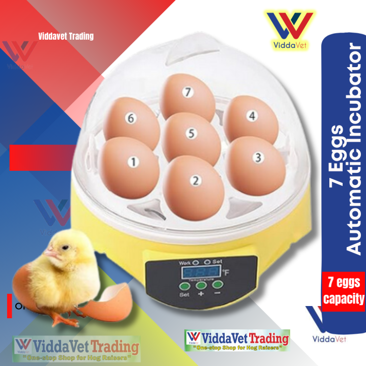 Egg incubator for chicken egg egg incubator set kit Temperature Control