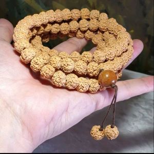 11.5mm large size "ginger yellow" 5 Mukhi (Faces) "Double Dragons" Rudraksha 108 chanting beads 11.5毫米大尺寸姜黄皮五瓣双龙小金刚菩提108念珠 (Same design with 99 chanting beads also available. )