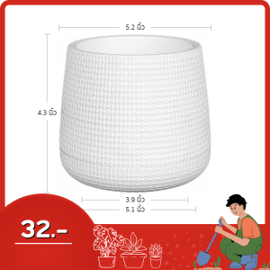 กระถาง กระถางต้นไม้ มินิมอล เบลล่า เบอร์ 5 นิ้ว สีดำ สีขาว เทา เขียว Bundle 5 ใบ ชิ้น อัน