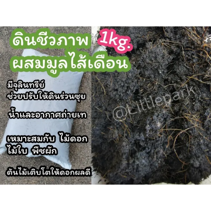 ดินปลูกต้นไม้ชีวภาพผสมมูลไส้เดือน 1 กก. สำหรับไม้ฟอกอากาศ