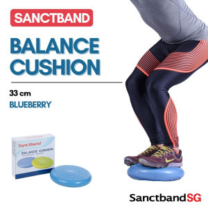 Sanctband Balance Cushion Stability Recovery Cushion Rehabilitation Exercise Disc Training Yoga Air Cushion Blueberry Balance Disc Cushion