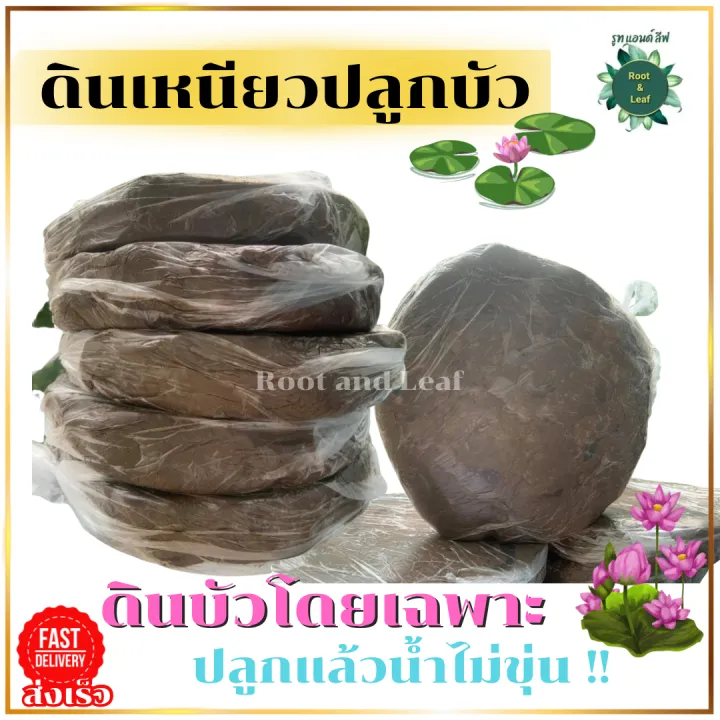 10 อันดับดินเหนียวปลูกบัวและไม้น้ำยอดนิยม อัปเดตปี 2025