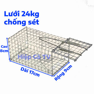 Bẫy Chuột Đồng Kích Thước 17x9x8 cm